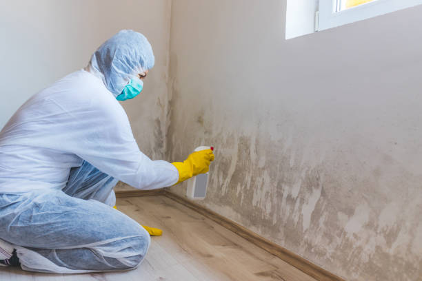 Licensed Mold Remediation service in Middletown, NJ - WQB Mold Removal