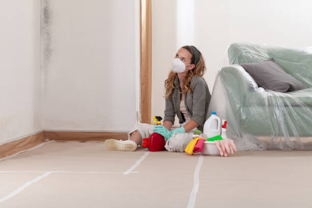 Reliable Mold Remediation contractor in Middletown, NJ by WQB Mold Removal